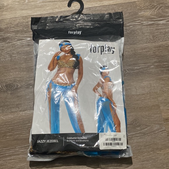Fashion Nova Other - Fashion nova jasmine costume